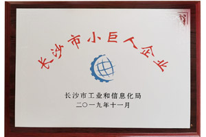 长沙市小巨人企业