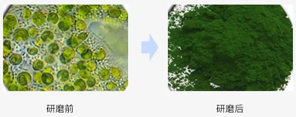 实验滚筒球磨机研磨案例
