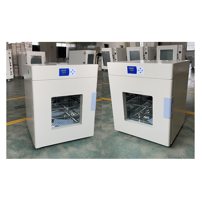 立式鼓风干燥箱