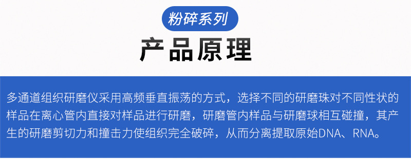 多通道组织研磨仪