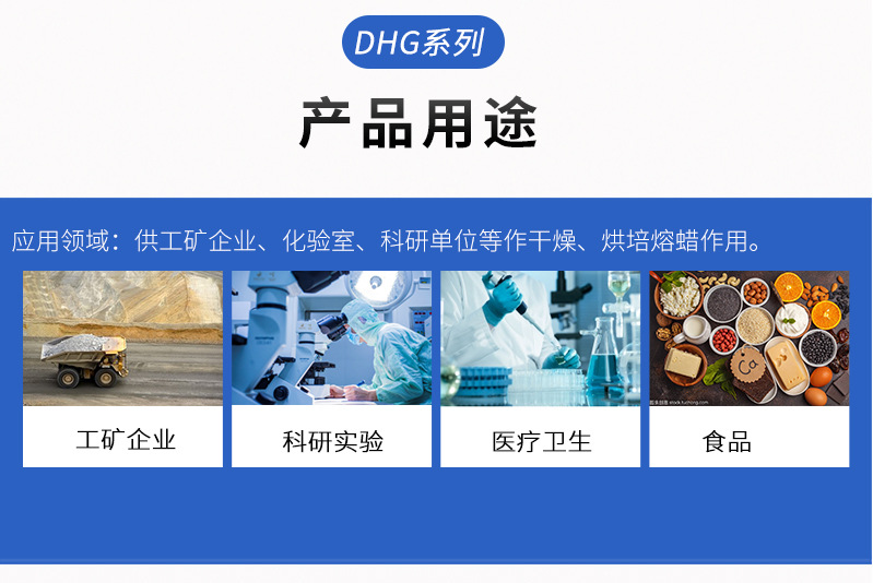 立式鼓风干燥箱