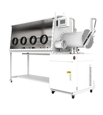 凈化手套箱-C款